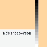 Color chip: NCS S 1020-Y30R