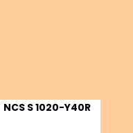 Color chip: NCS S 1020-Y40R