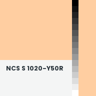 Color chip: NCS S 1020-Y50R