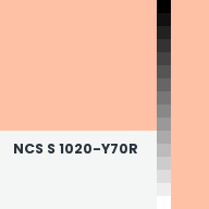Color chip: NCS S 1020-Y70R