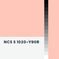 Color chip: NCS S 1020-Y90R