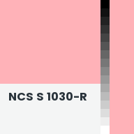 Color chip: NCS S 1030-R