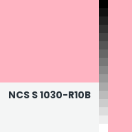 Color chip: NCS S 1030-R10B