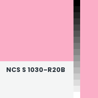 Color chip: NCS S 1030-R20B
