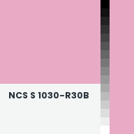 Color chip: NCS S 1030-R30B