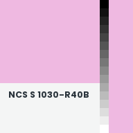 Color chip: NCS S 1030-R40B