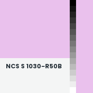 Color chip: NCS S 1030-R50B