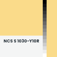 Color chip: NCS S 1030-Y10R