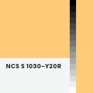 Color chip: NCS S 1030-Y20R