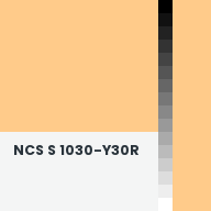 Color chip: NCS S 1030-Y30R