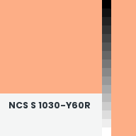 Color chip: NCS S 1030-Y60R