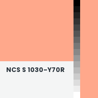 Color chip: NCS S 1030-Y70R