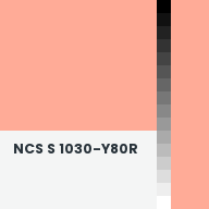 Color chip: NCS S 1030-Y80R