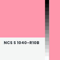 Color chip: NCS S 1040-R10B