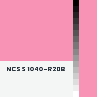 Color chip: NCS S 1040-R20B