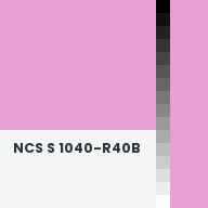 Color chip: NCS S 1040-R40B