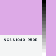 Color chip: NCS S 1040-R50B