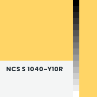 Color chip: NCS S 1040-Y10R