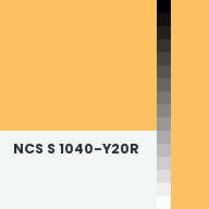 Color chip: NCS S 1040-Y20R