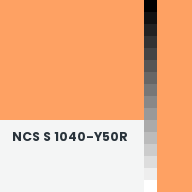 Color chip: NCS S 1040-Y50R