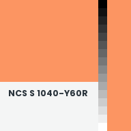 Color chip: NCS S 1040-Y60R