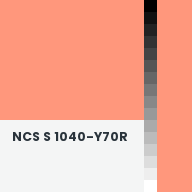 Color chip: NCS S 1040-Y70R