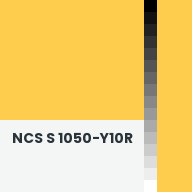 Color chip: NCS S 1050-Y10R