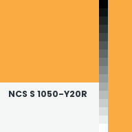 Color chip: NCS S 1050-Y20R