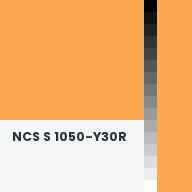 Color chip: NCS S 1050-Y30R