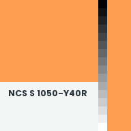 Color chip: NCS S 1050-Y40R