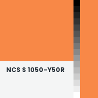 Color chip: NCS S 1050-Y50R