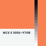 Color chip: NCS S 1050-Y70R