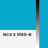Color chip: NCS S 1060-B