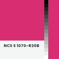 Color chip: NCS S 1070-R20B