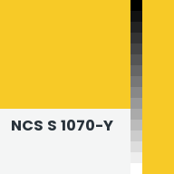 Color chip: NCS S 1070-Y