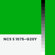 Color chip: NCS S 1075-G20Y