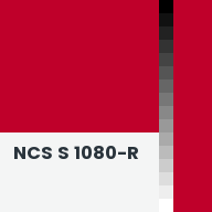 Color chip: NCS S 1080-R