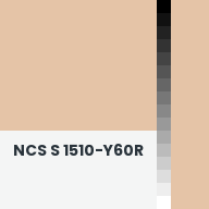 Color chip: NCS S 1510-Y60R