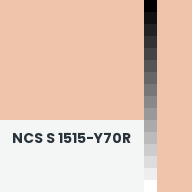 Color chip: NCS S 1515-Y70R