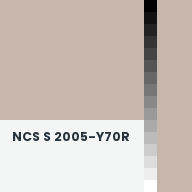Color chip: NCS S 2005-Y70R