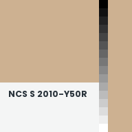 Color chip: NCS S 2010-Y50R
