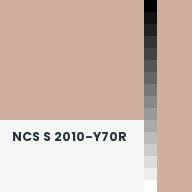 Color chip: NCS S 2010-Y70R