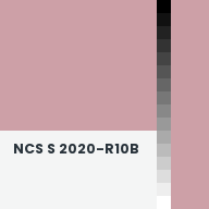 Color chip: NCS S 2020-R10B