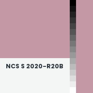 Color chip: NCS S 2020-R20B