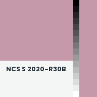 Color chip: NCS S 2020-R30B