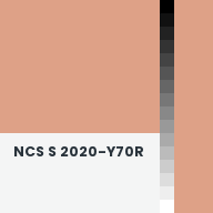 Color chip: NCS S 2020-Y70R