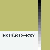 Color chip: NCS S 2030-G70Y