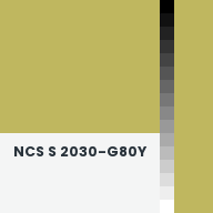 Color chip: NCS S 2030-G80Y