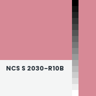Color chip: NCS S 2030-R10B