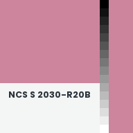 Color chip: NCS S 2030-R20B